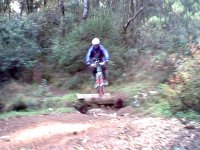 el salto.jpg