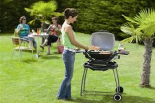 WeberQ120BlackLine_03.jpg