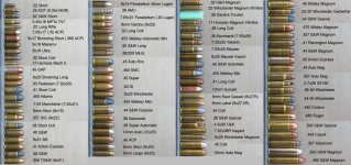 Listado de Casrtuchos de Armas Cortas.jpg