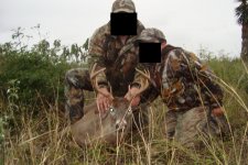 venado2.jpg