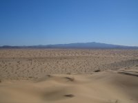 pincate 31 enero &.jpg