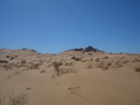 pincate 31 enero &.jpg