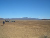 pincate 31 enero &.jpg