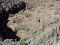 pinacate 001..jpg