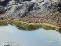 pinacate 009..jpg