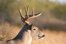 9 con Kick 6años.JPG