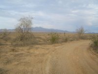 sierra a la vista&.jpg