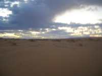 pincate 31 enero &.jpg