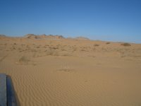 pincate 31 enero &.jpg