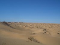 pincate 31 enero &.jpg