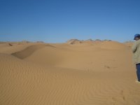 pincate 31 enero &.jpg