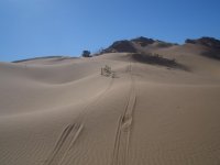 pincate 31 enero &.jpg