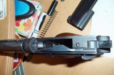 colt 021.jpg