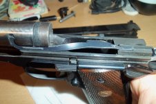 colt 016.jpg