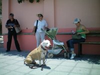 troll2.jpg troll2.jpg