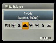 what is white balance setting.jpg