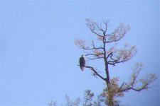 DSC06470 (Small).JPG