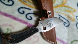 IMG-20160610-WA0005.jpg