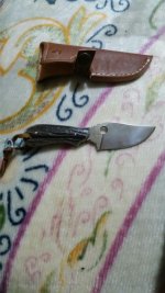 IMG-20160610-WA0004.jpg
