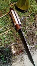 IMG-20181218-WA0027.jpg