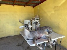 IMG_0550.jpeg