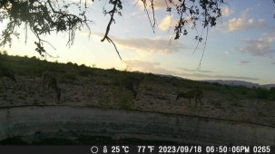 IMG_0551.jpeg