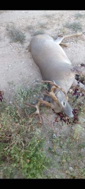 IMG_0549.jpeg