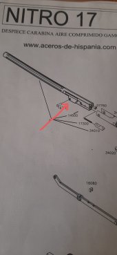 20250212_110350.jpg