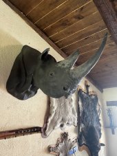 IMG_5569.jpeg