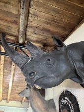 IMG_5572.jpeg