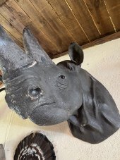 IMG_5571.jpeg