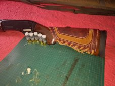 Presentación en situ.jpeg