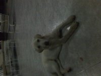 21-03-09_2115.jpg