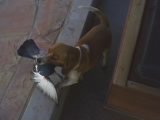 21-12-08_1537.jpg