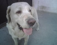 IMG00161.jpg