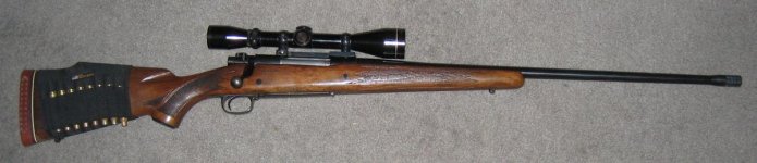winchestermodel70.jpg