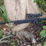 Iguana Hunting